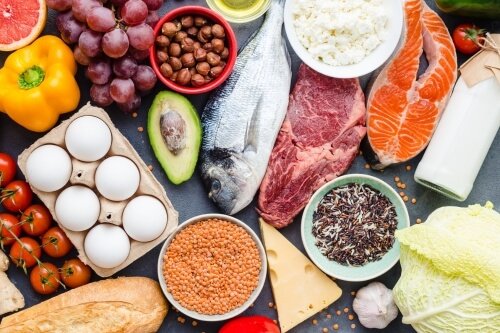 alimentacion y sistema inmunitario